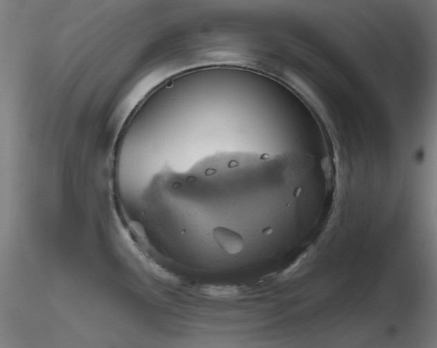 X0000116831291200912181425