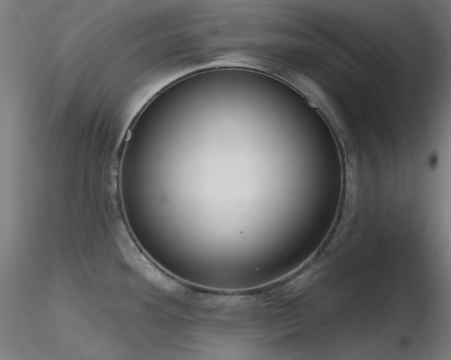 X0000116831292200912181425