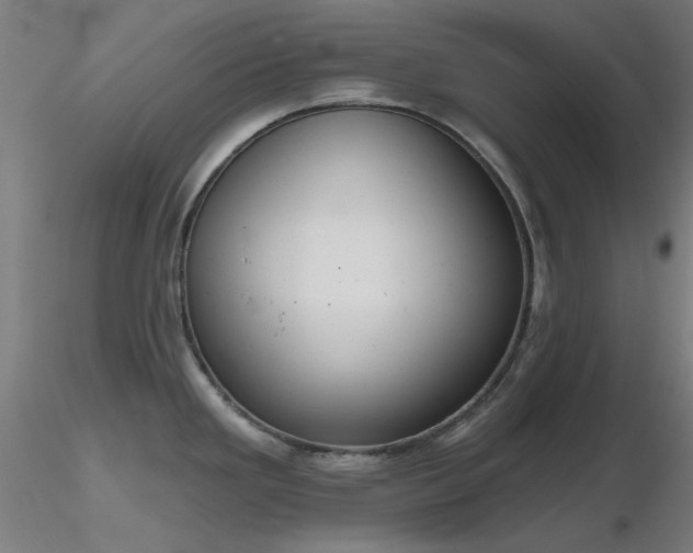 X0000116831293200912181425