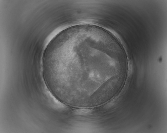 X0000116831294200912181425
