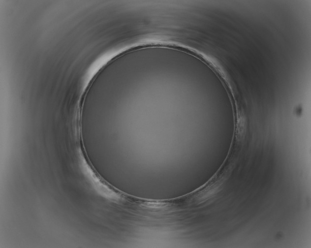 X0000116831295200912181425