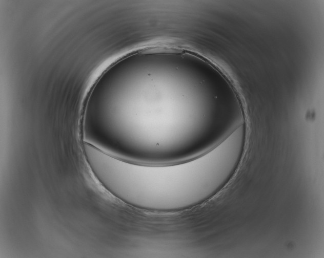 X0000116831296200912181425
