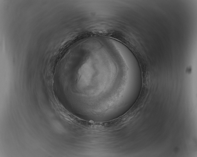 X0000116831297200912181424
