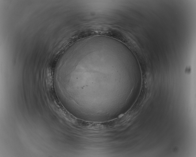 X0000116831298200912181424