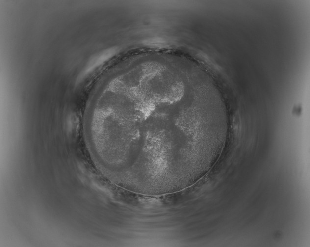 X0000116831302200912181424