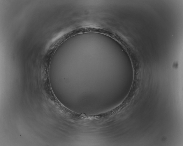 X0000116831303200912181424