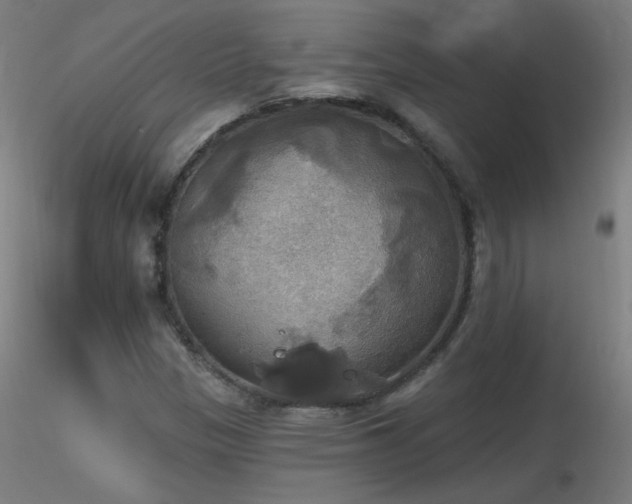 X0000116831305200912181424