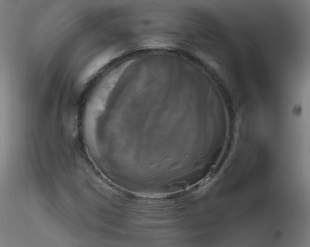 X0000116831306200912181424