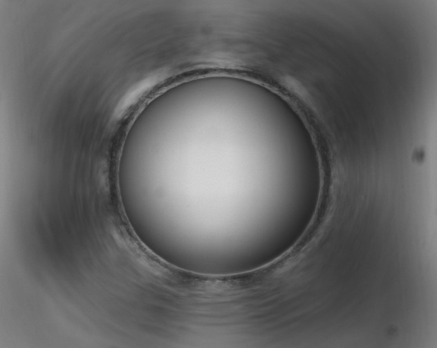 X0000116831307200912181424