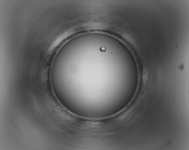 X0000116831309200912181425