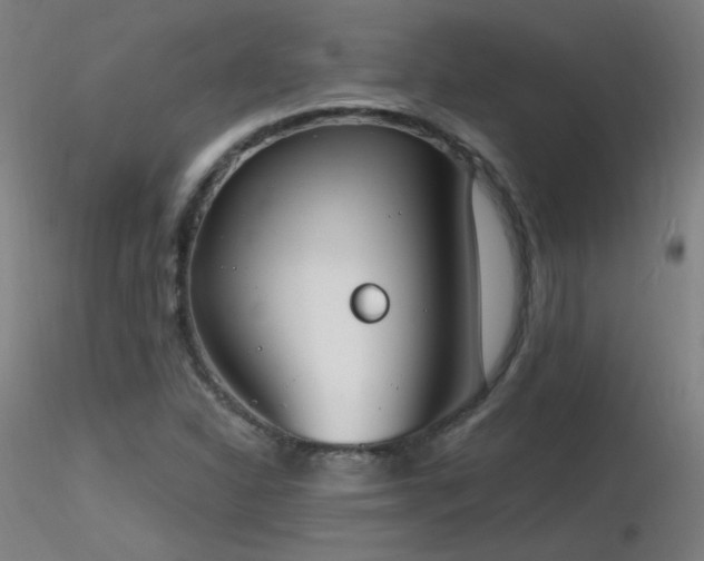 X0000116831310200912181425