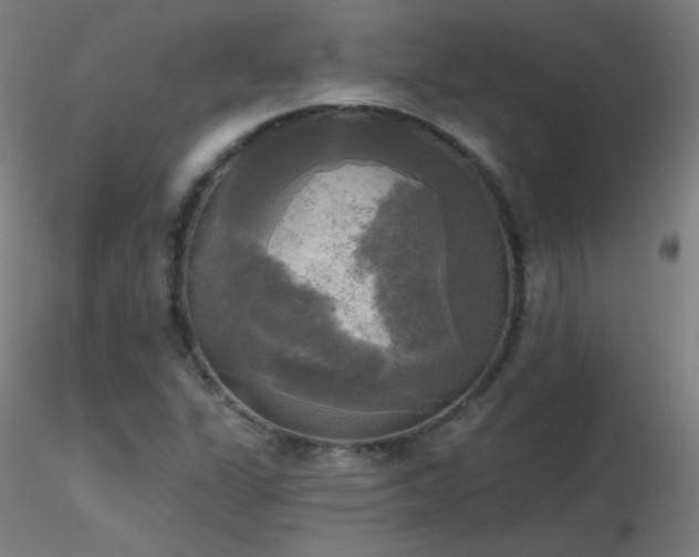 X0000116831311200912181425