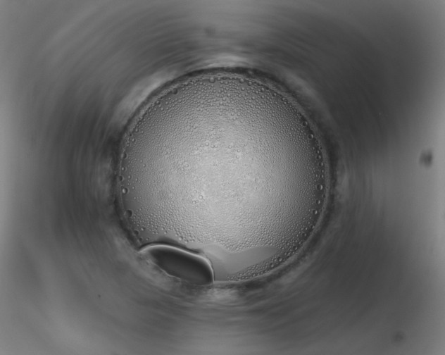 X0000116831313200912181425