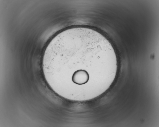 X0000116831314200912181425