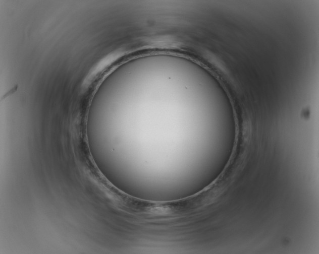 X0000116831315200912181425