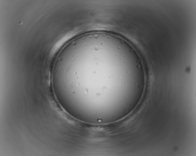 X0000116831317200912181425