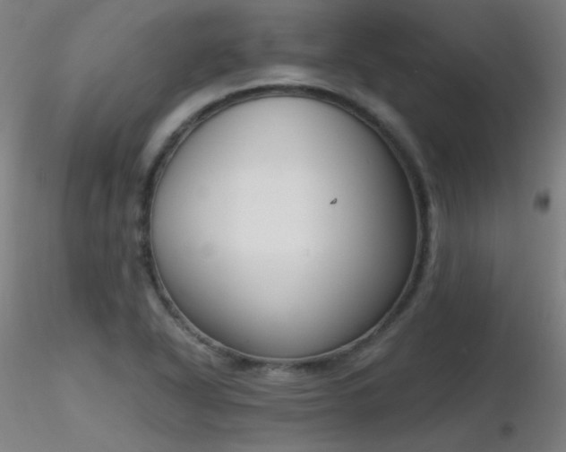 X0000116831318200912181425
