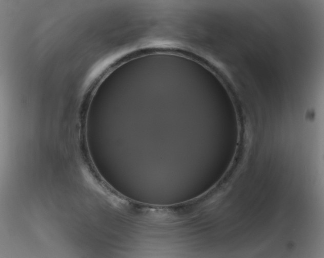 X0000116831319200912181425