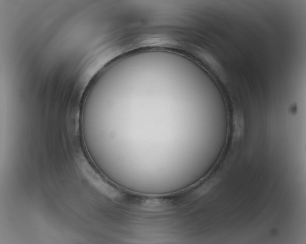 X0000116831322200912181425