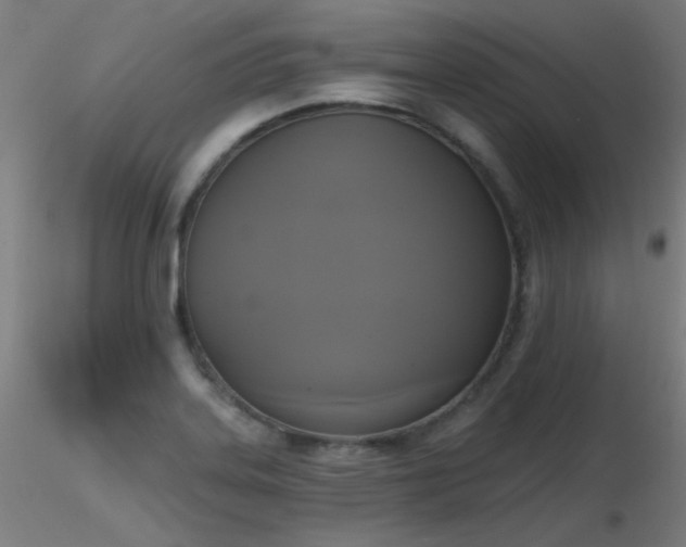 X0000116831323200912181425