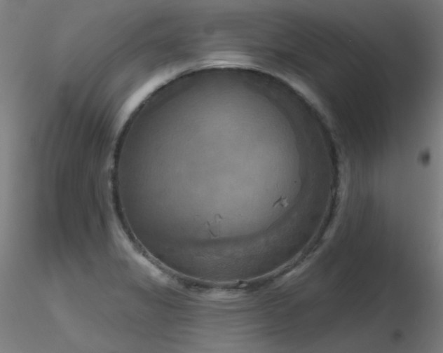 X0000116831325200912181425