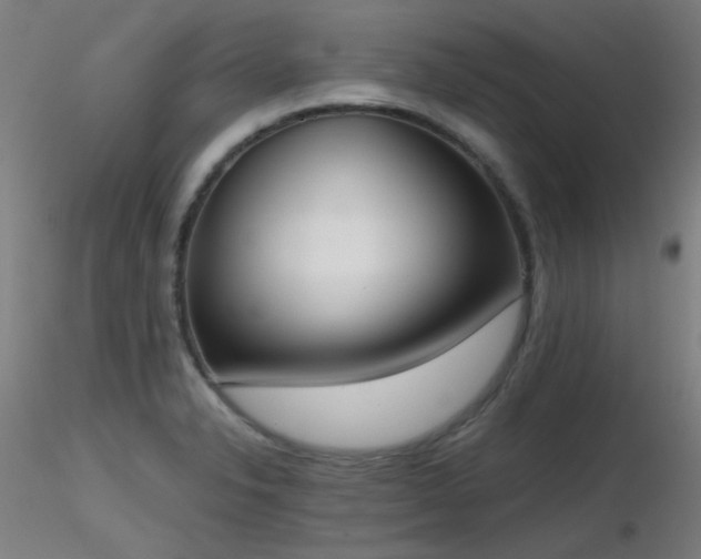 X0000116831326200912181425