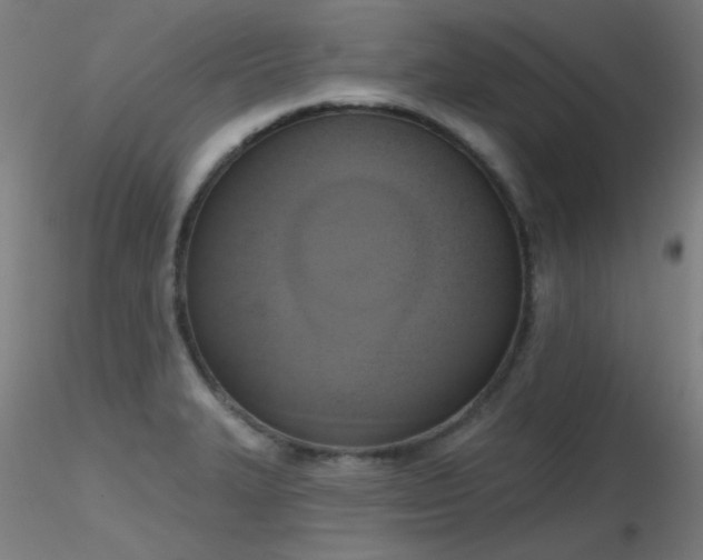 X0000116831327200912181425