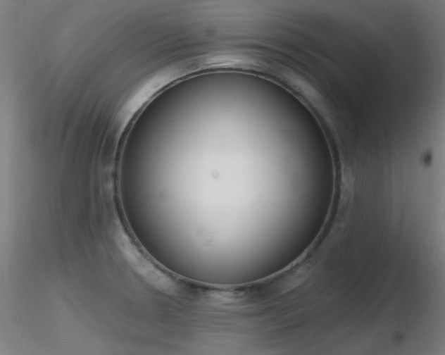 X0000116831330200912181425