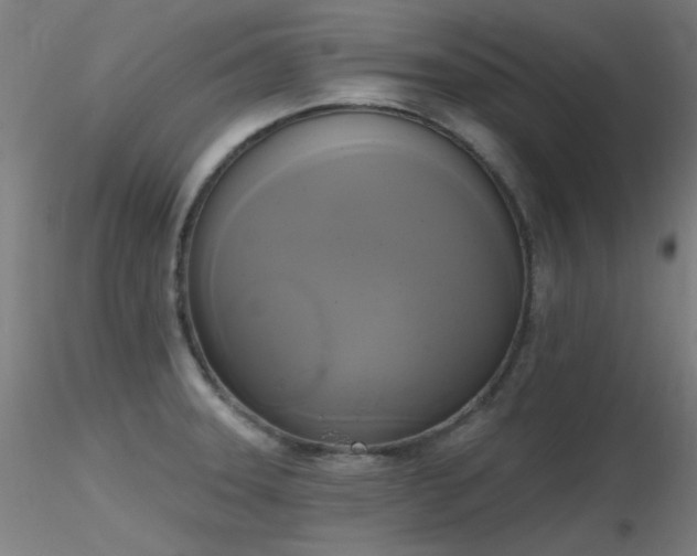 X0000116831331200912181425