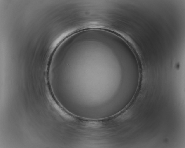 X0000116831333200912181425