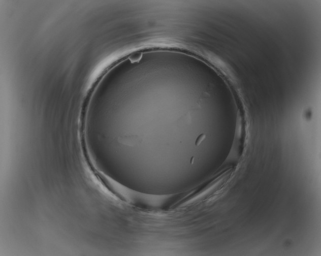 X0000116831334200912181425
