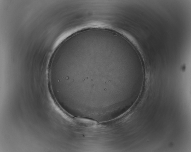X0000116831335200912181425