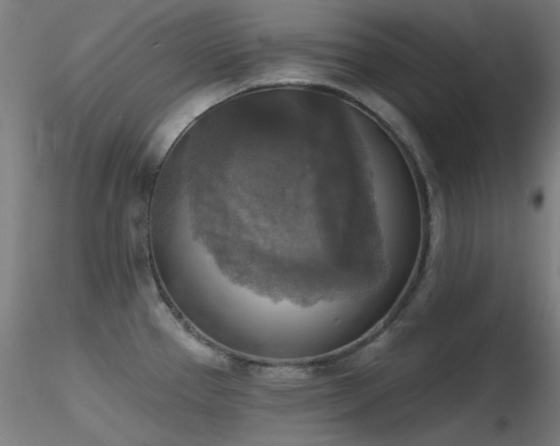 X0000116831337200912181425