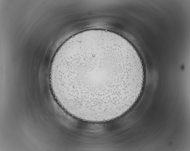 X0000116831338200912181425