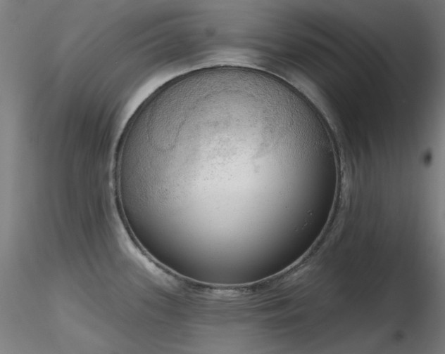 X0000116831339200912181425