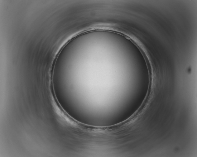 X0000116831341200912181425