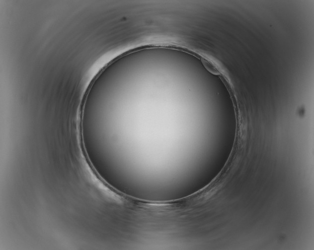 X0000116831343200912181425