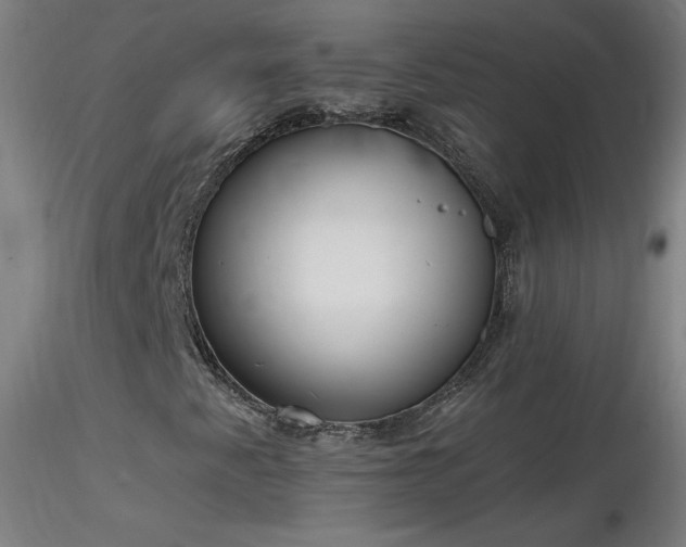 X0000116831345200912181424