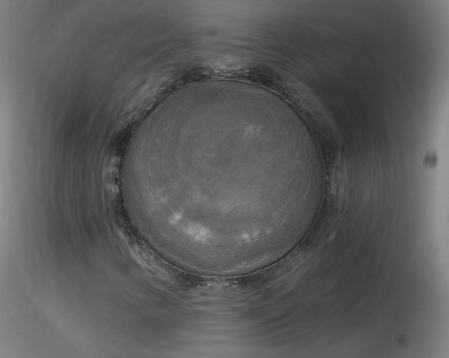 X0000116831346200912181424