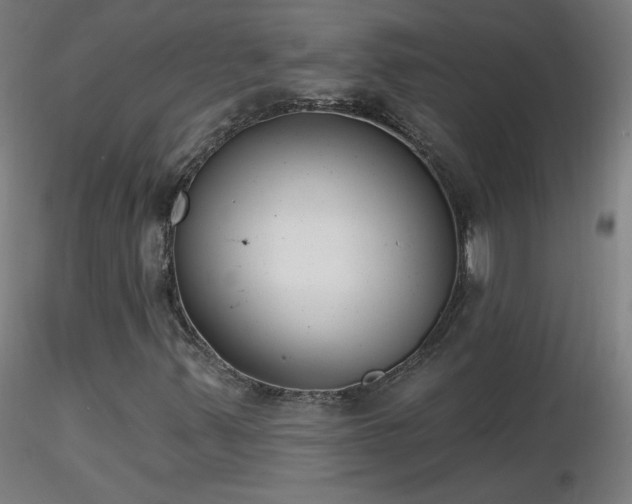 X0000116831347200912181424
