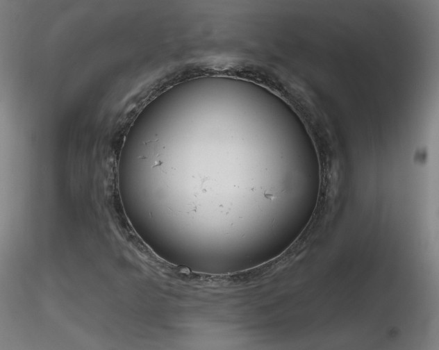 X0000116831349200912181424