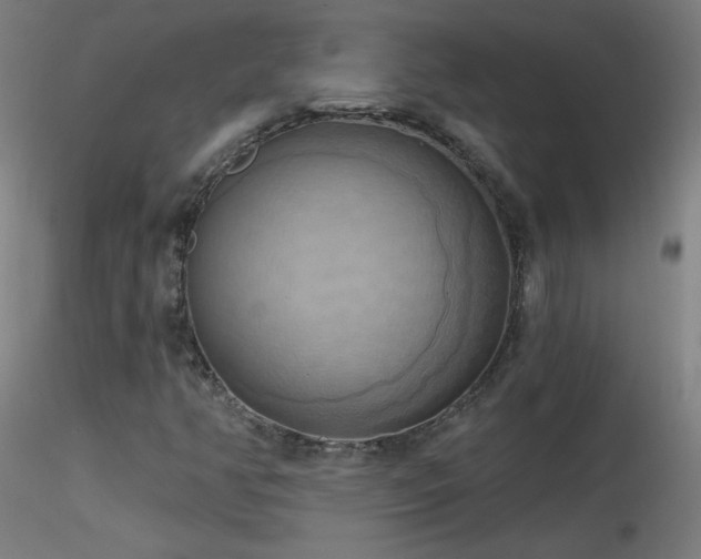 X0000116831350200912181424