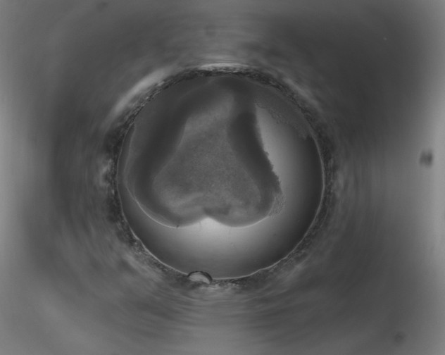 X0000116831351200912181424