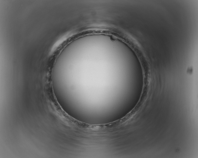 X0000116831352200912181424