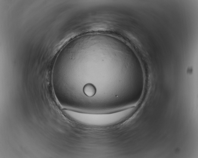 X0000116831353200912181424