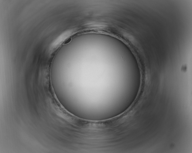 X0000116831354200912181424