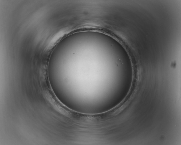 X0000116831355200912181424