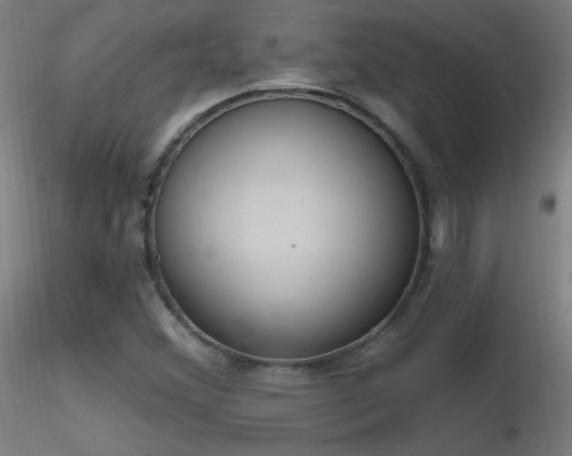 X0000116831356200912181424