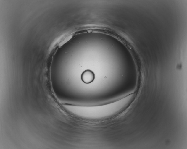 X0000116831357200912181424