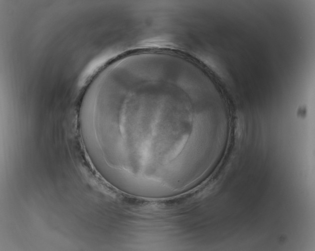 X0000116831358200912181424